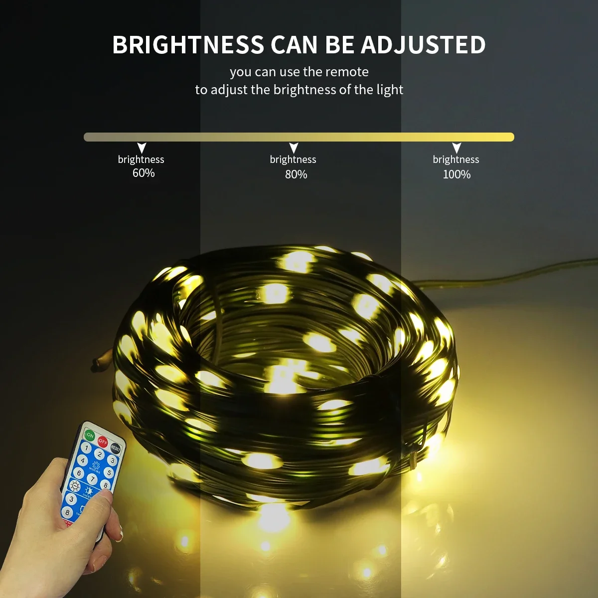 Outdoor Solar Panel LED String - Outdoor Power Lead Cover ulasan dan harga